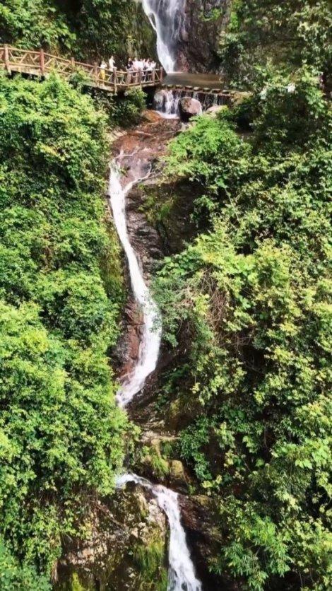 燃烧吧大脑装瓶子游戏